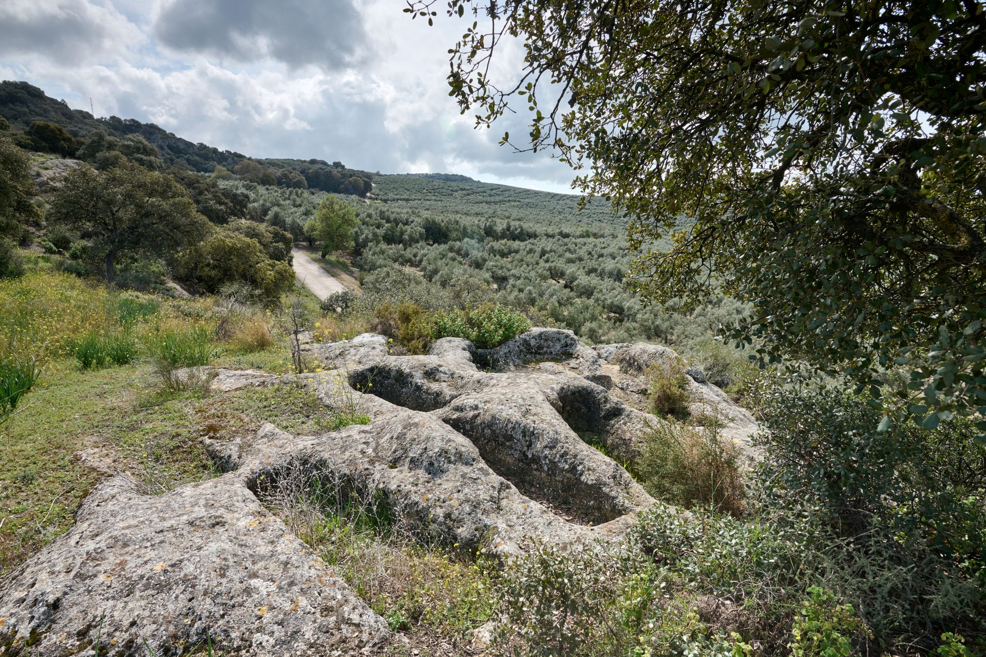 Algarbe - Zagra - Poniente de Granada