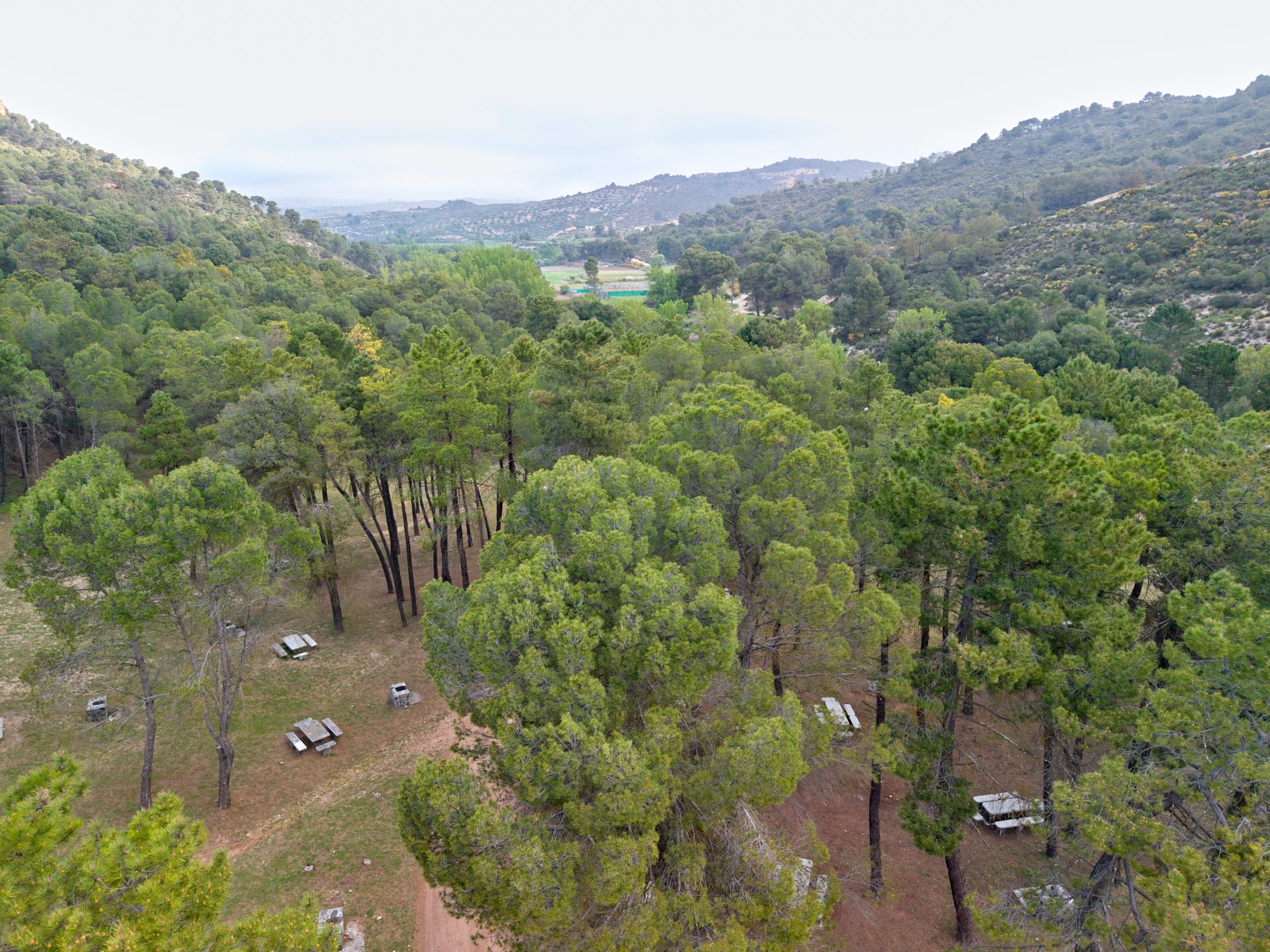 Área Recreativa El Bacal Jayena Poniente de Granada