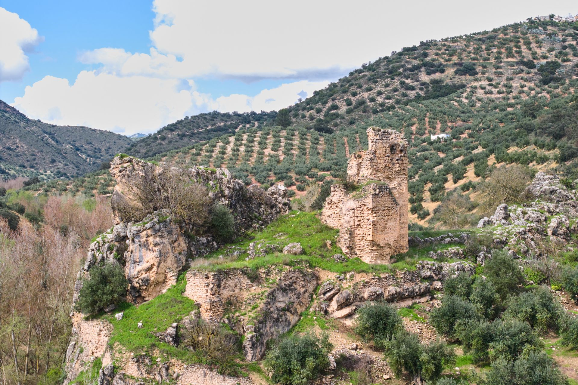 Torre Pesquera Algarinejo Poniente Granada