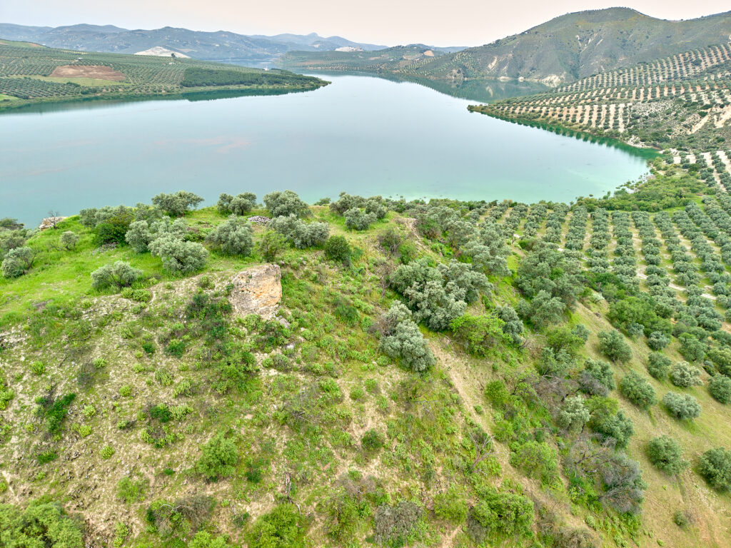 Castillo de Cesna - Algarinejo - Poniente de Granada (3)