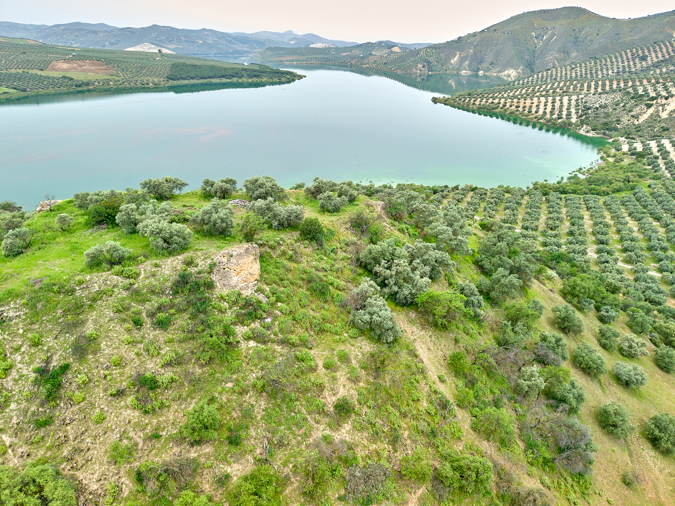 Castillo de Cesna - Algarinejo - Poniente de Granada (3)
