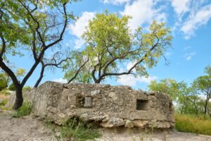 TRINCHERAS GUERRA CIVIL DE TÓZAR-MOCLÍN