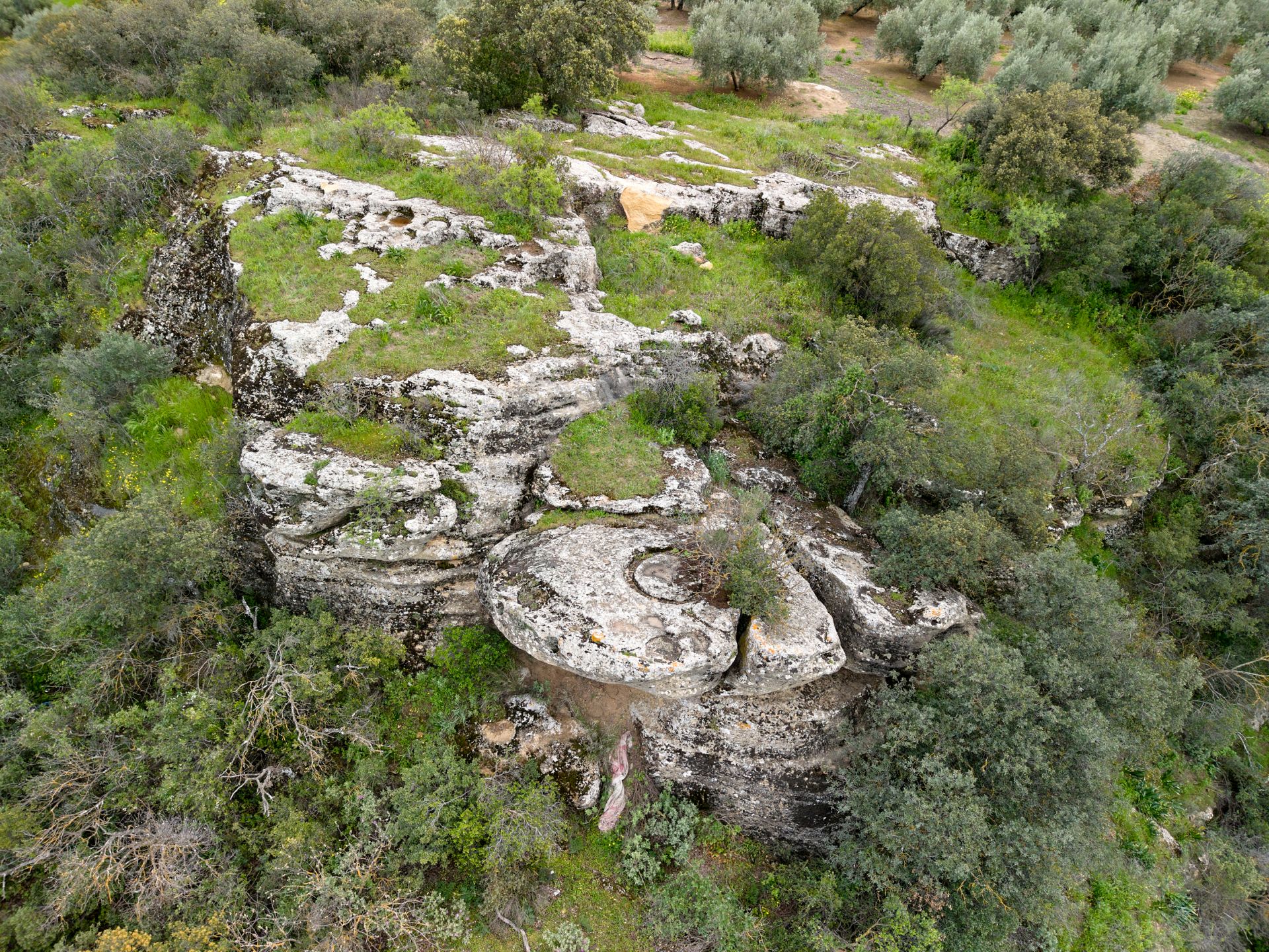 La Atalayuela - Zagra - Poniente de Granada