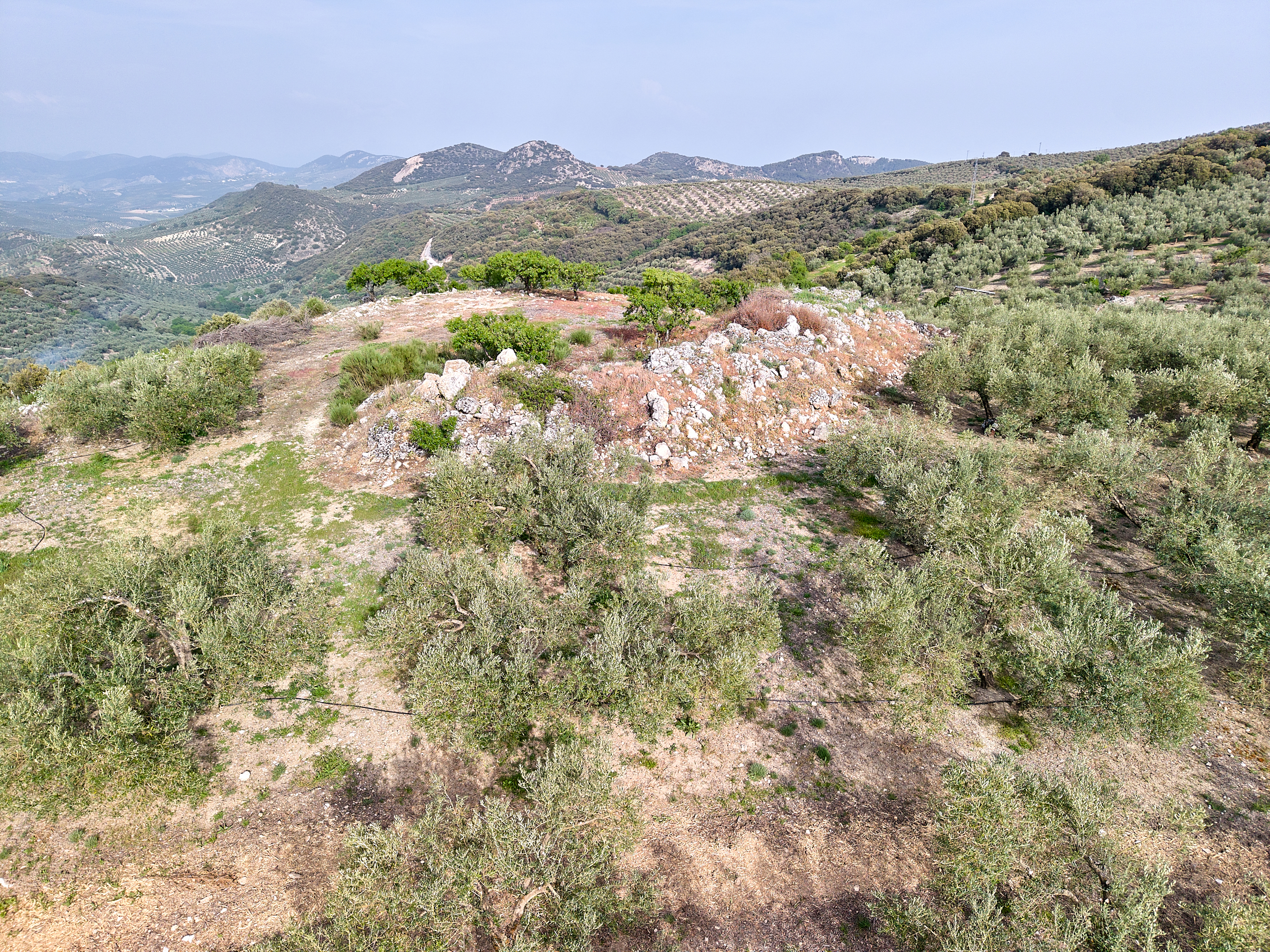 Torre de Jorbas Íllora Poniente de Granada