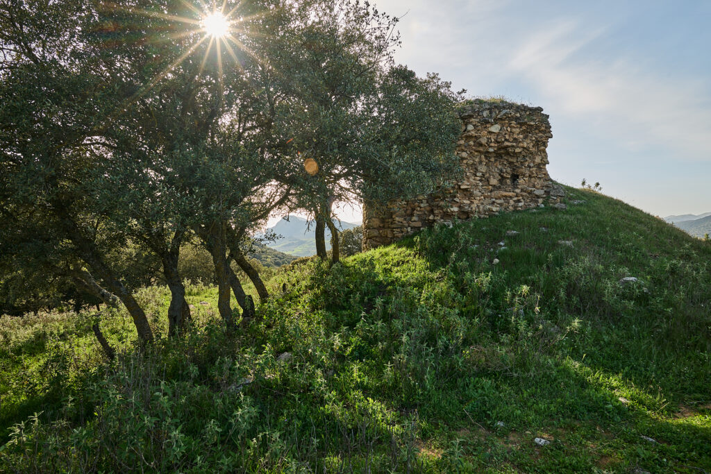 La Torre de la Luna Alhama - Poniente de Granada 3