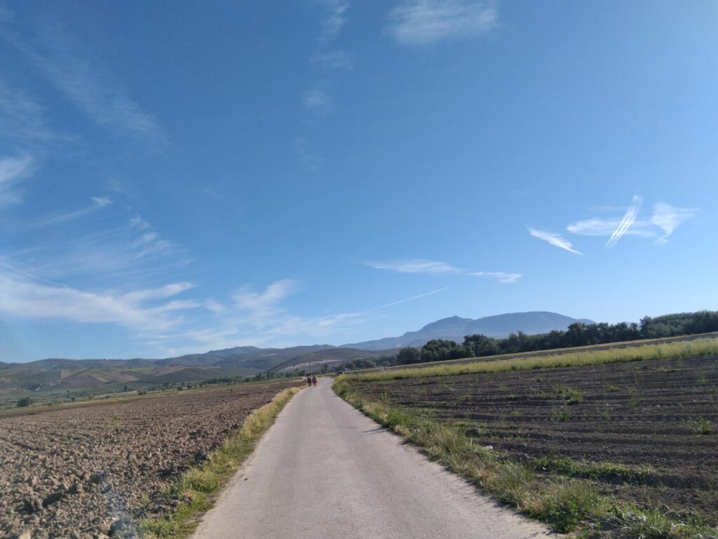 ruta 3 poniente de granada
