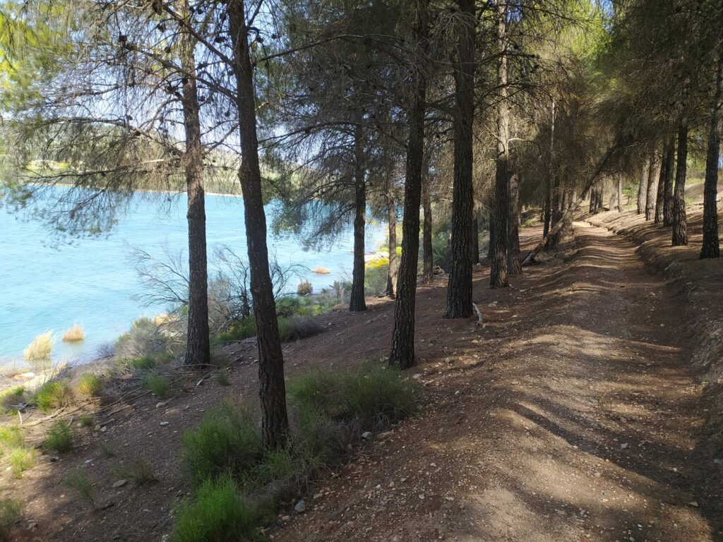 ruta 17 sendero junto al pantano de bermejales