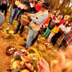 jornadas micológicas