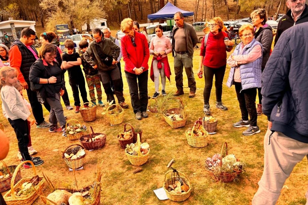 jornadas micológicas poniente de granada