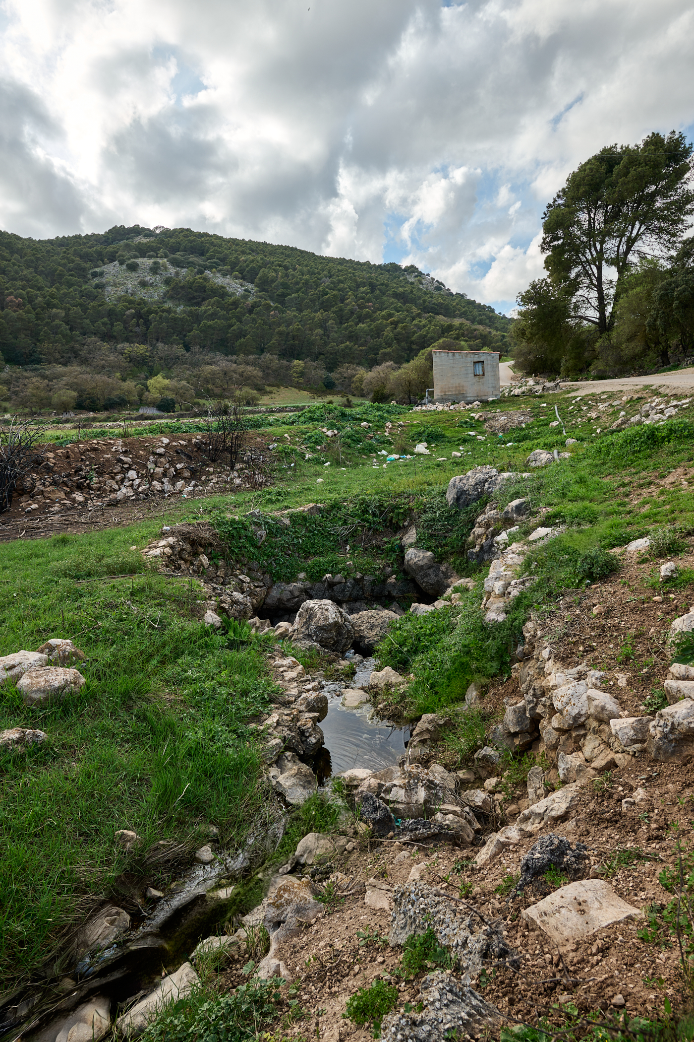 SUMIDERO RINCÓN DE LOS REINAS-ZAFARRAYA