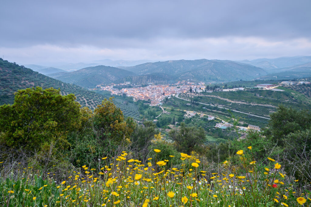 Vistas desde el Mirador de la Cruz - Algarinejo - Poniente de Granada