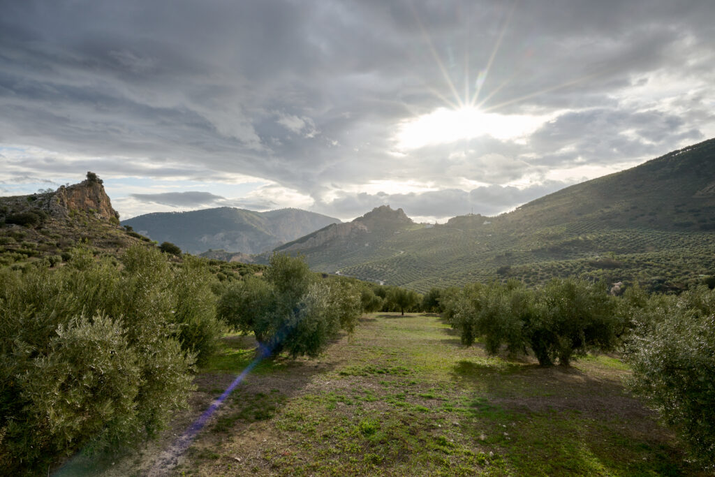 El silencio en el Poniente de Granada