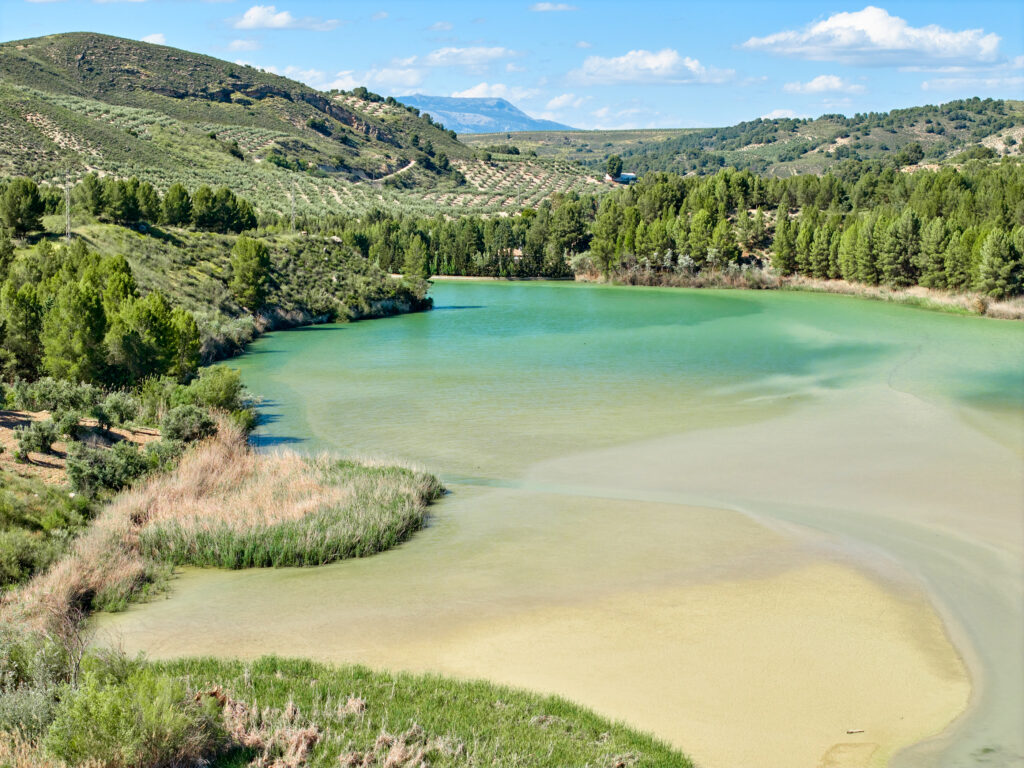 Contraembalse de CacÃn - Poniente de Granada