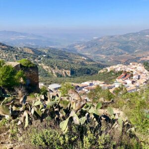 Romería de San Antonio de Zagra - Poniente de Granada