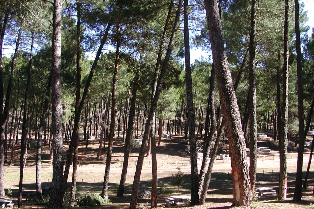 Área recreativa y de acampada El Robledal - Poniente de Granada