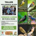 Taller de anillamiento de aves en Huétor Tájar – Poniente de Granada