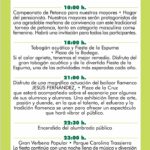 Programa Fiestas de Santa Ana de Salar en el Poniente de Granada (3)